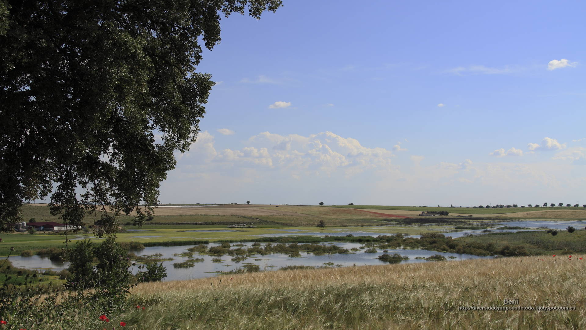 fondo de pantalla o wallpaper paisajes rio guadiana