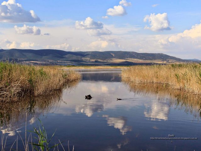 fondo de pantalla del paisaje de un humedal