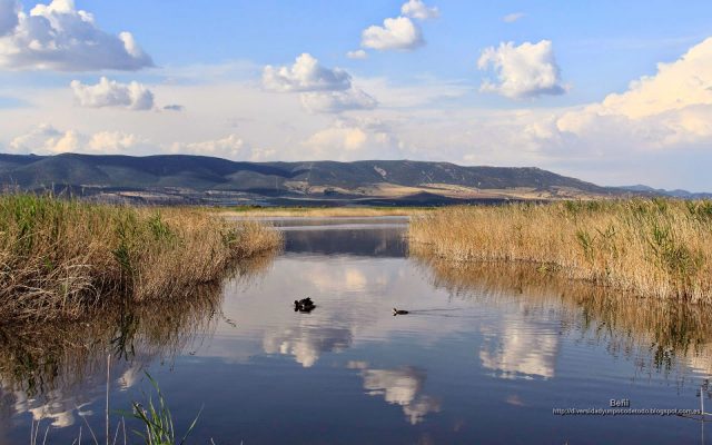 fondo de pantalla del paisaje de un humedal