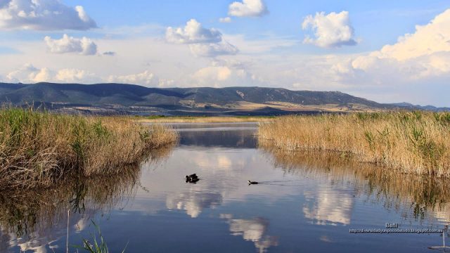 fondo de pantalla del paisaje de un humedal
