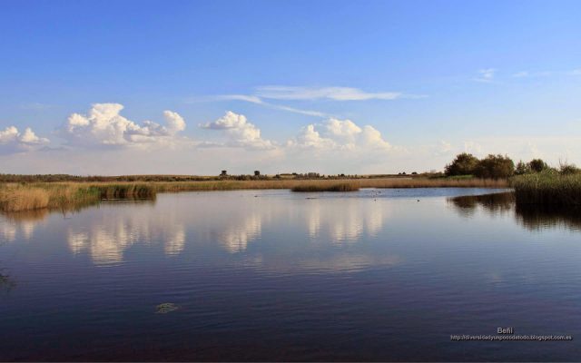 fondo de pantalla del paisaje de un humedal