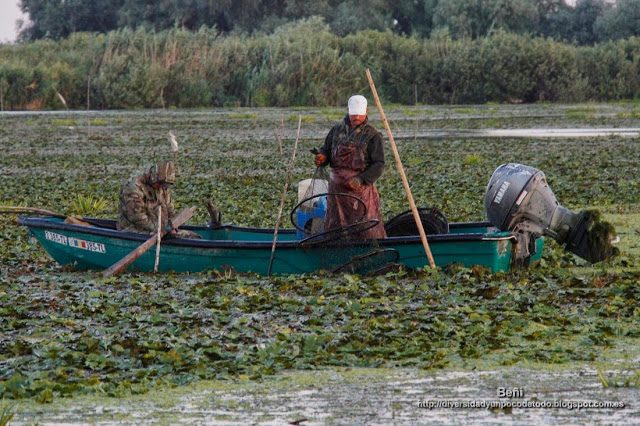 pescadores artesanales en el delta del danubio