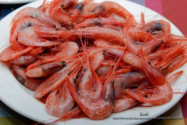 cocer marisco, quisquilla