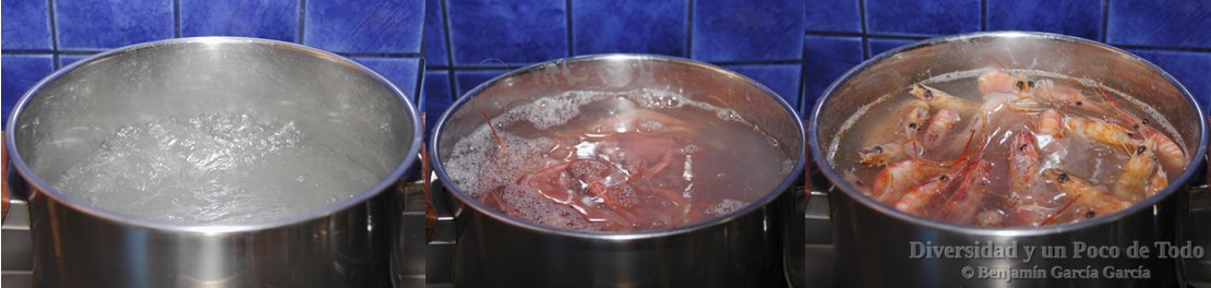 cocer marisco con ciencia