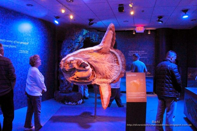 salida del georgia aquarium de atlanta