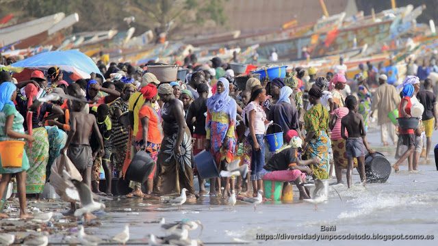 desembarco del pescado en la playa de tanji