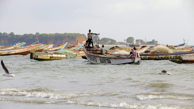 Gambia playa Tanji embarcaciones pesca
