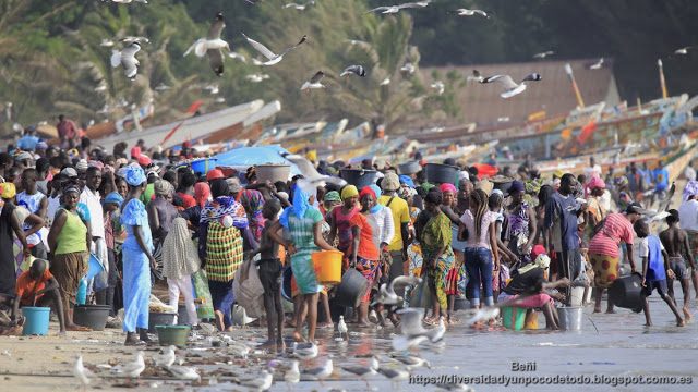 Gambia desembarco pescado playa Tanji compradores vendedores