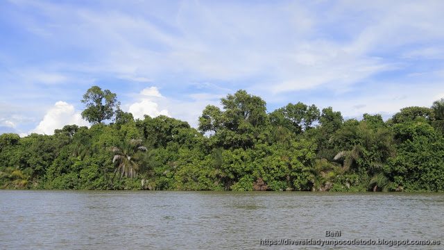 paque nacional rio gambia