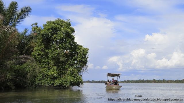 parque nacional rio gambia