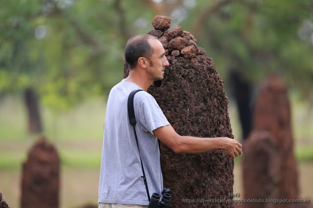 Los Circulos de Wassu en gambia