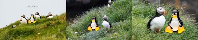 fondos de pantalla o wallpapers para GNU Linux