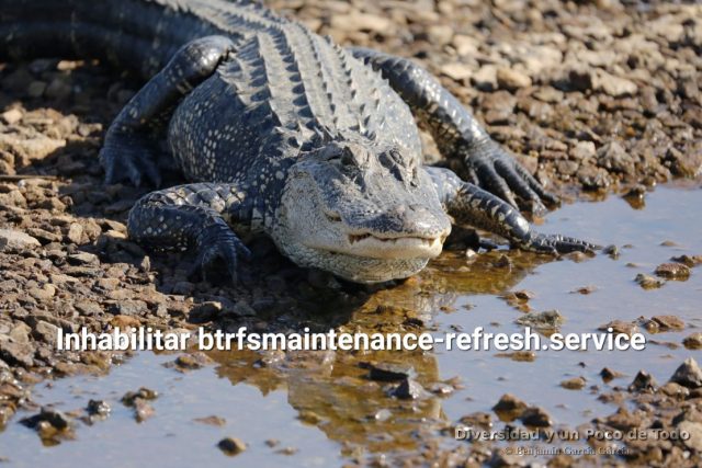 openSUSE 15 se demora en el arranque