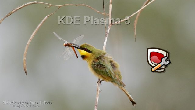 forzar el cierre de una aplicación en KDE con KSysGuard y Kill