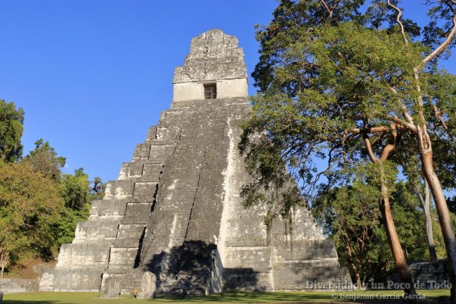 ciudades mayas de tikal y yaxha. Piramide en Tikal