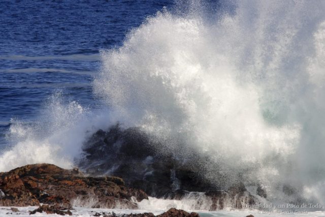 las aves en el cabo, ola rompiendo en la costa