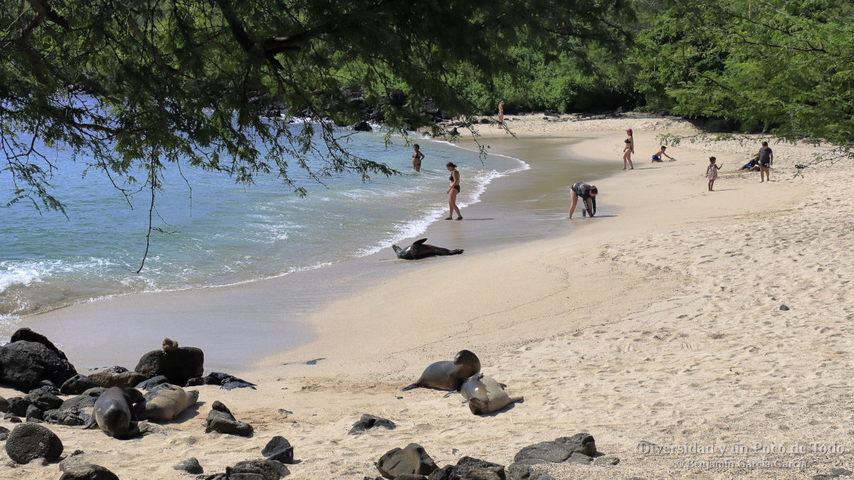 playa man en isla san cristobal