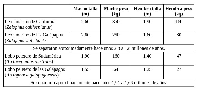 Tabla de biometrias de especies de leones marinos de galapagos y especies geneticamente proximas